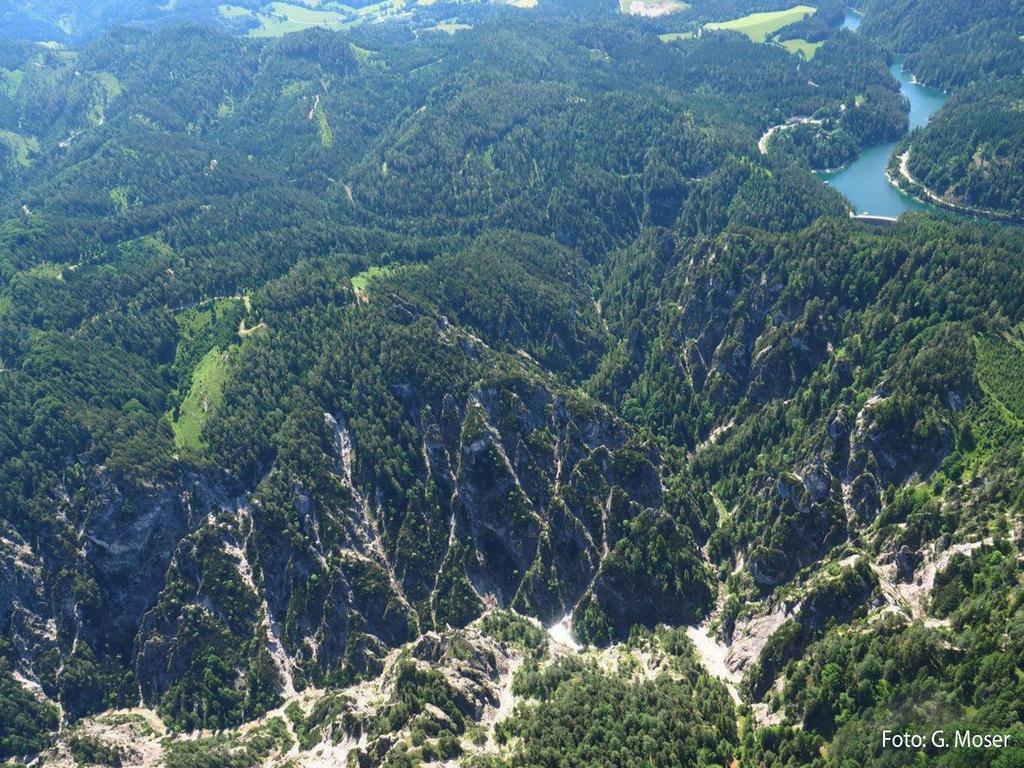 Ferienwohnungen Margreiter Mitterbach am Erlaufsee Extérieur photo